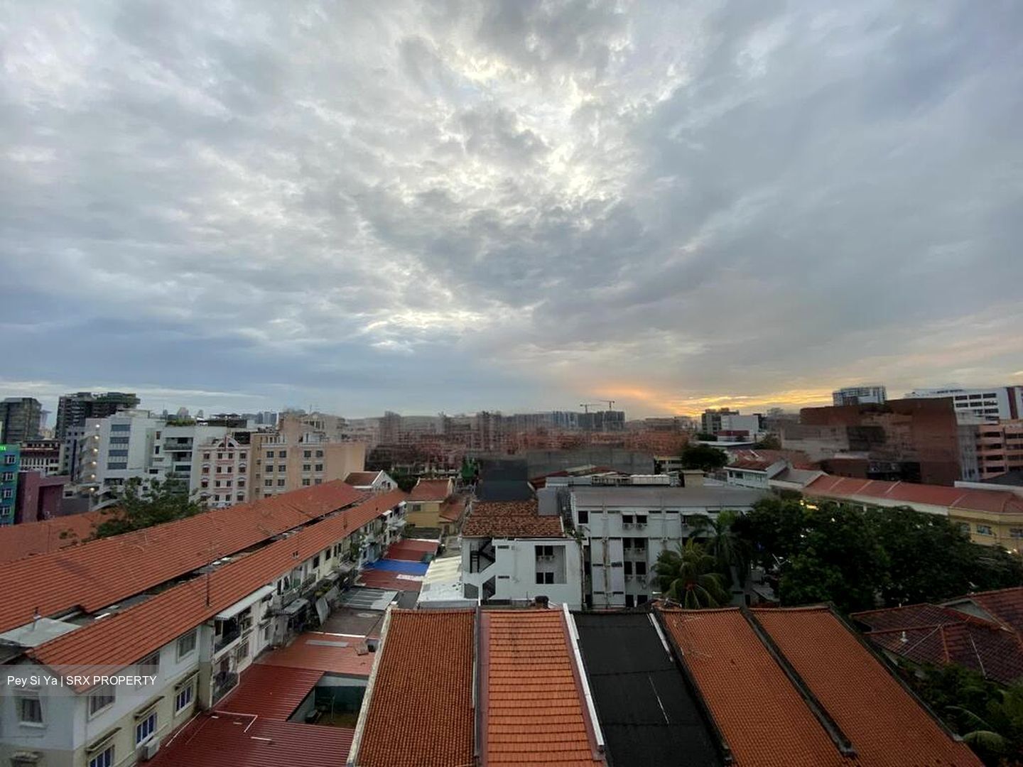 # 1 Loft (D14), Apartment #464297331